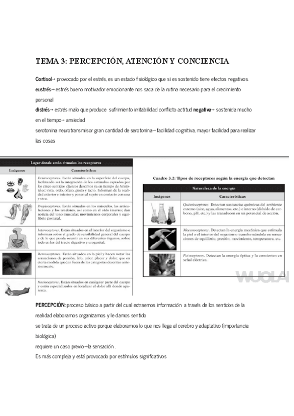 Miniatura del documento ciencias-psicosociales-t3.pdf
