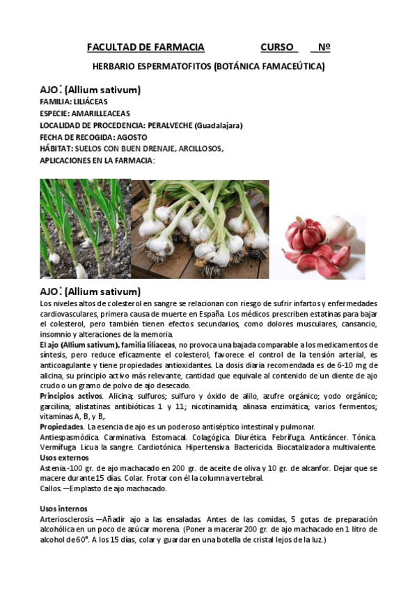 Miniatura del documento HERBARIO.pdf