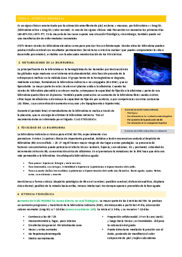 Miniatura del documento T9-EIA.pdf
