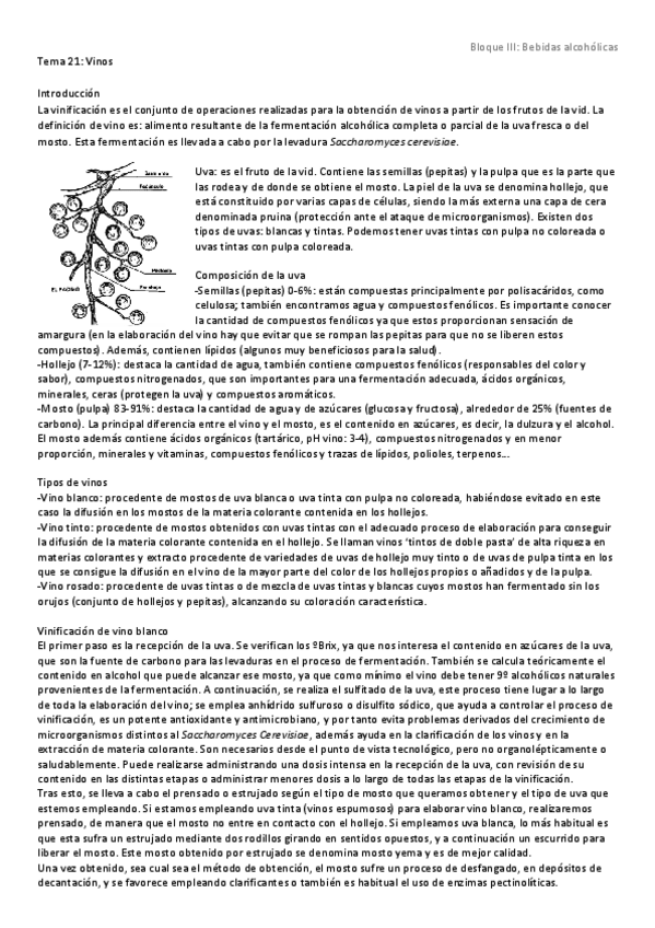 Miniatura del documento Tema 21.pdf