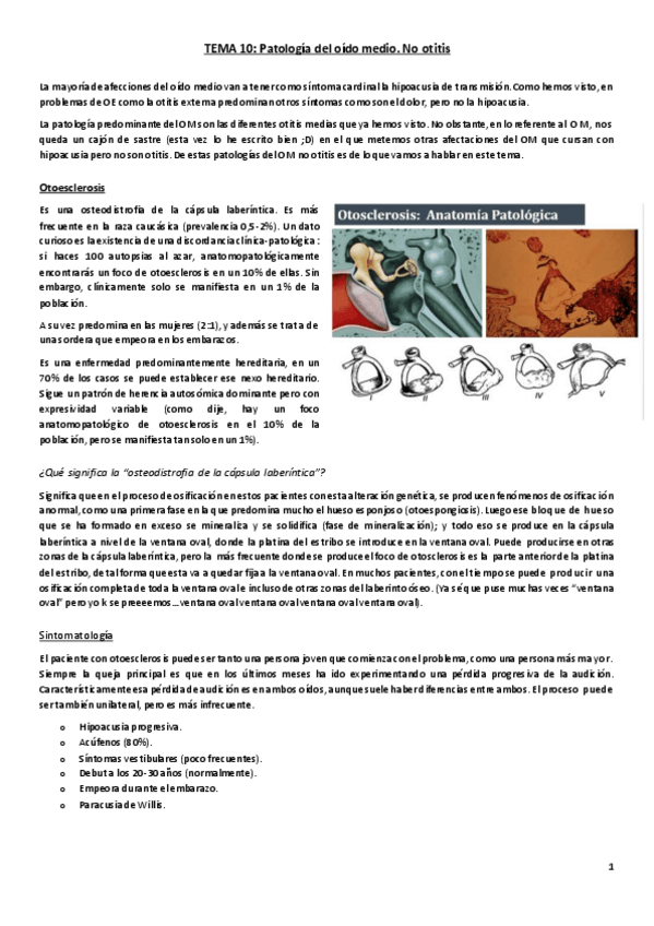 Miniatura del documento Tema 10. Patología oído medio no otitis.pdf