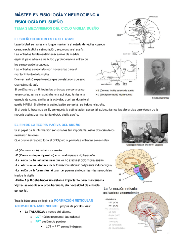 Miniatura del documento Tema 3 FS.pdf