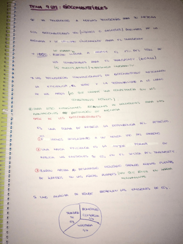 Miniatura del documento tema 9 biomasa2.pdf
