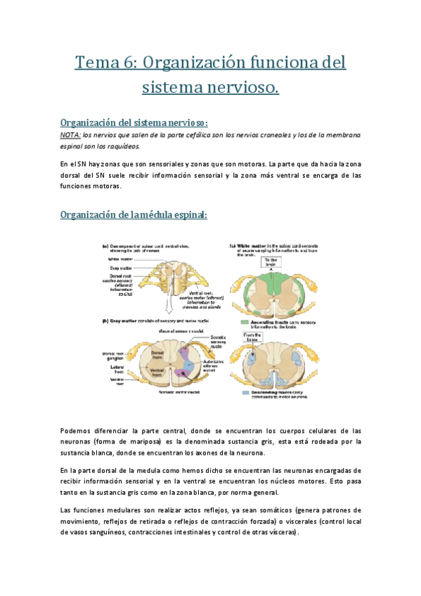 Miniatura del documento Tema 6.pdf