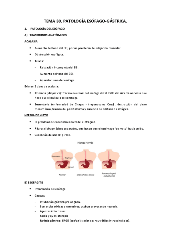Miniatura del documento Tema 30.pdf