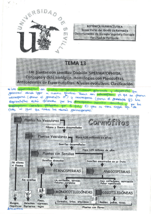 Miniatura del documento Tema 13.pdf