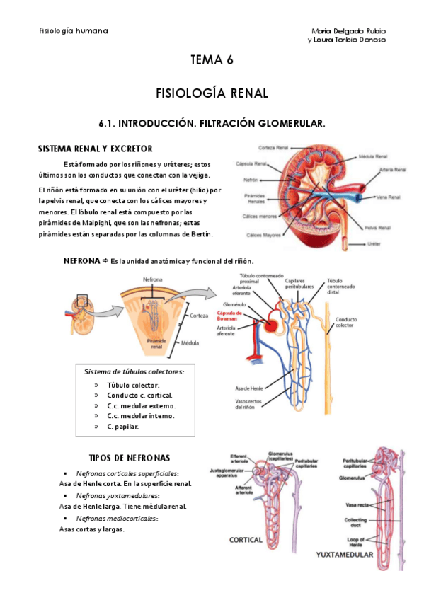 Miniatura del documento Tema 6.pdf
