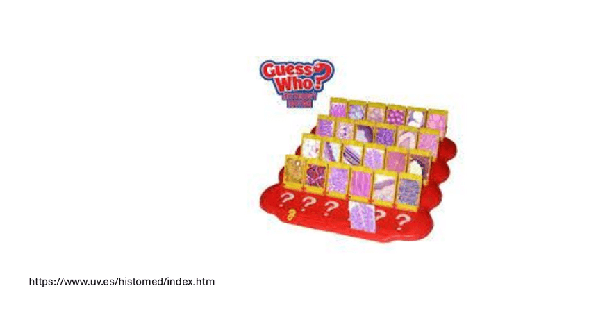 Miniatura del documento Bateria-de-fotos-del-histomed.pdf