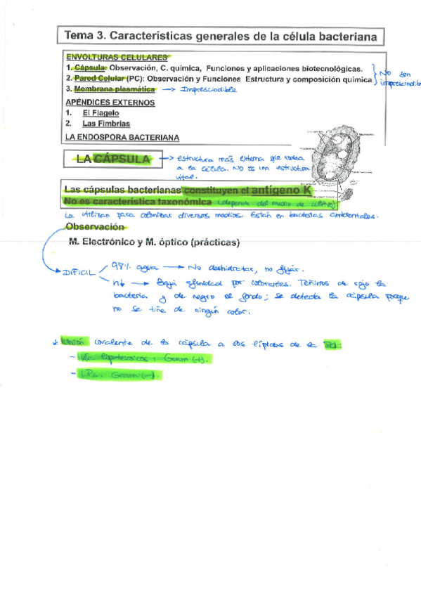 Miniatura del documento Tema 3.pdf