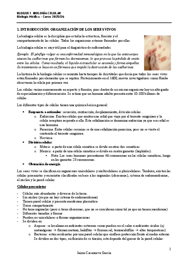 Miniatura del documento Apuntes-PARCIAL-1-BLOQUE-I.-Biologia-Celular-25-26-Jaime-CG.pdf