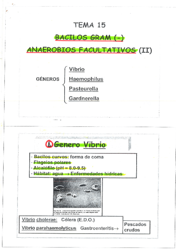Miniatura del documento Tema 15.pdf