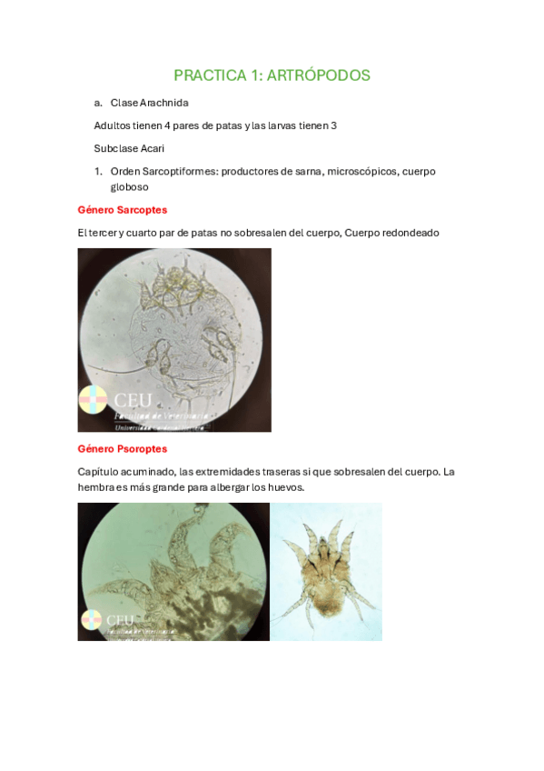 Miniatura del documento PRACTICA-1.pdf