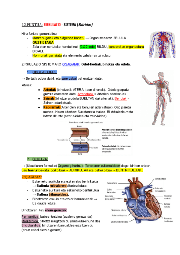 Miniatura del documento ZIRKULAZIO-SISTEMA-ESKEMA.pdf