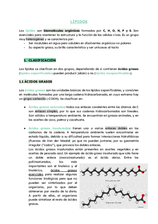 Miniatura del documento C.-LIPIDOS.pdf