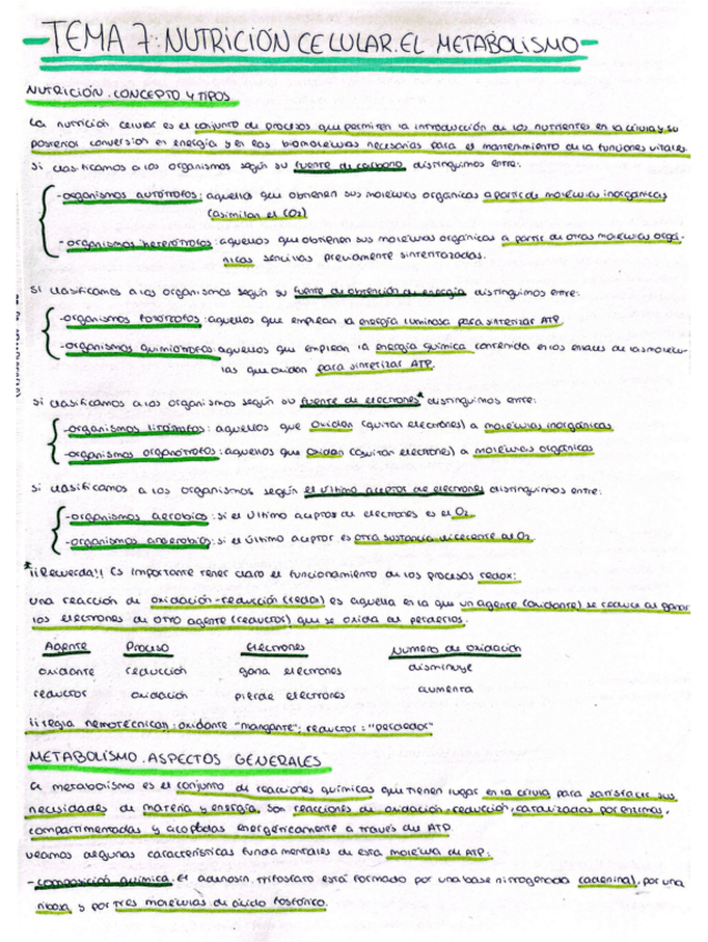 Miniatura del documento Nutricion-celular.-El-metabolismo.pdf
