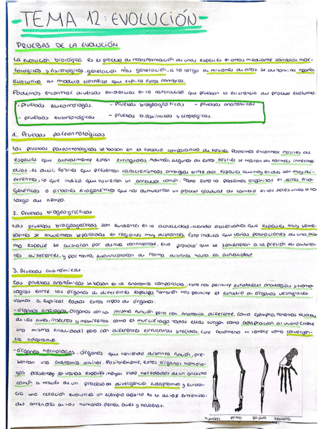 Miniatura del documento Evolucion-con-ejercicios.pdf