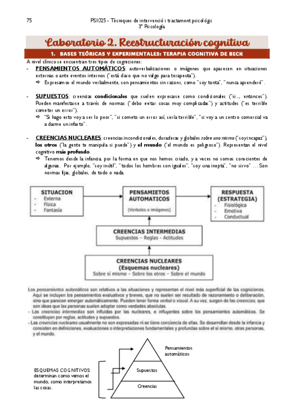Miniatura del documento TECNICAS-DE-INTERVENCION-LAB-2.pdf
