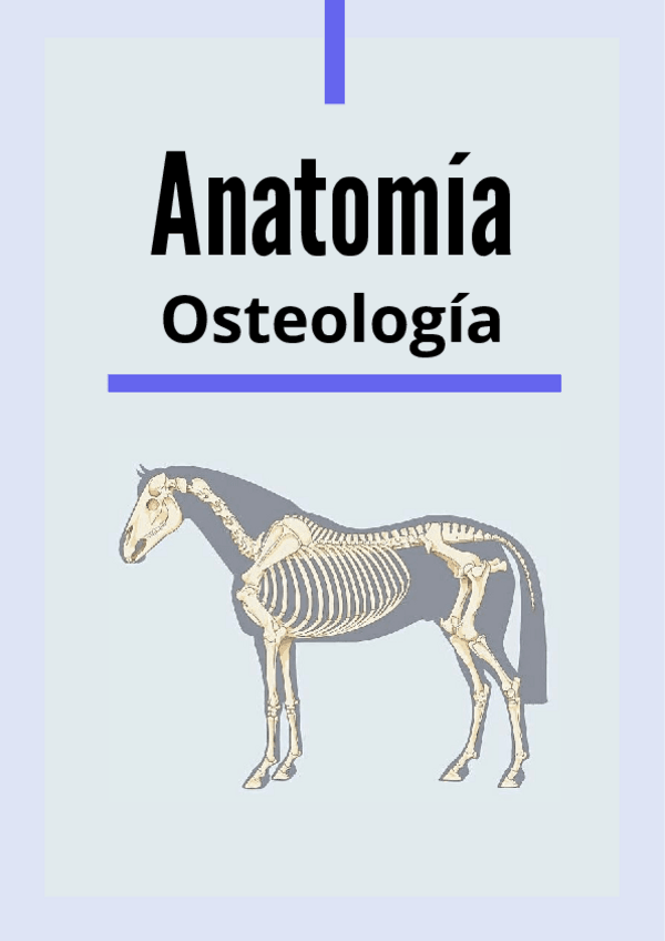 Miniatura del documento Practica-1-Anatomia.pdf