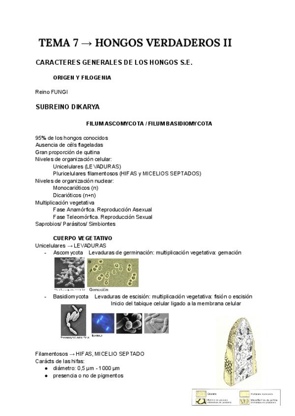 Miniatura del documento Botanica-T7.pdf