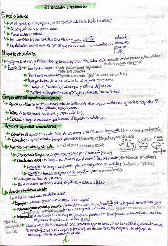 Miniatura del documento aparato-circulatorio-y-funcion-escretora-de-los-animales.pdf