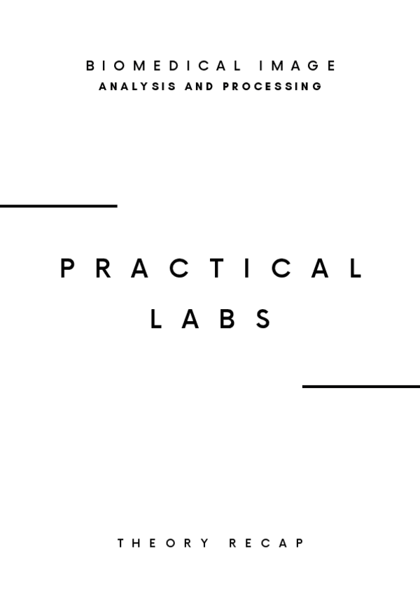 Miniatura del documento THEORY-PRACTICAL-LABS.pdf.pdf
