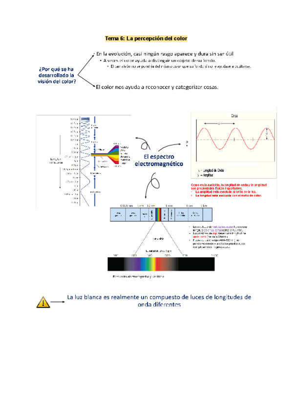 Miniatura del documento Tema-6.-PyA.pdf