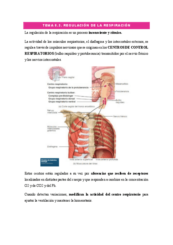 Miniatura del documento FUNDAMENTOS-TEMA-5.3..pdf