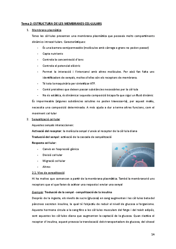 Miniatura del documento Apunts-t.2-LA-MEMBRANA-PLASMATICA.pdf