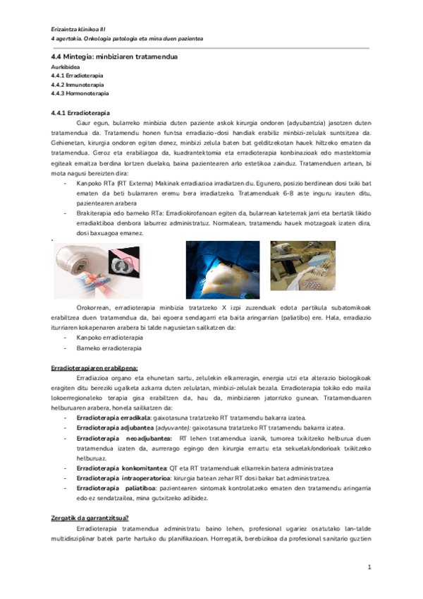 Miniatura del documento 4.4-Mintegia-minbiziaren-tratamendua-Documentos-de-Google.pdf