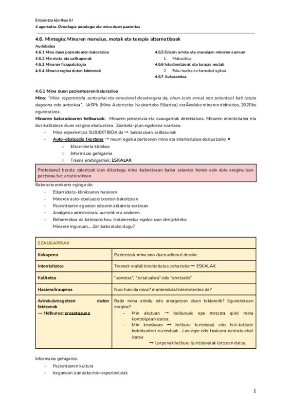 Miniatura del documento 4.6.-Mintegia-Minaren-maneiua-motak-eta-terapia-alternatiboak-Documentos-de-Google.pdf