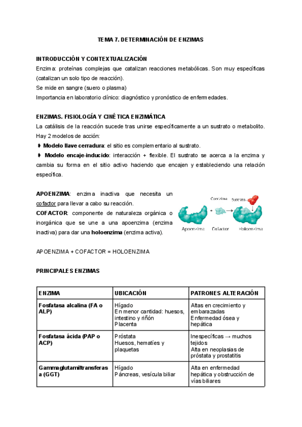 Miniatura del documento TEMA-7.-ANALISIS-BIOQUIMICO.pdf