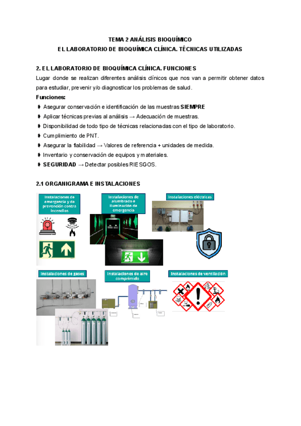 Miniatura del documento TEMA-2-ANALISIS-BIOQUIMICO.pdf