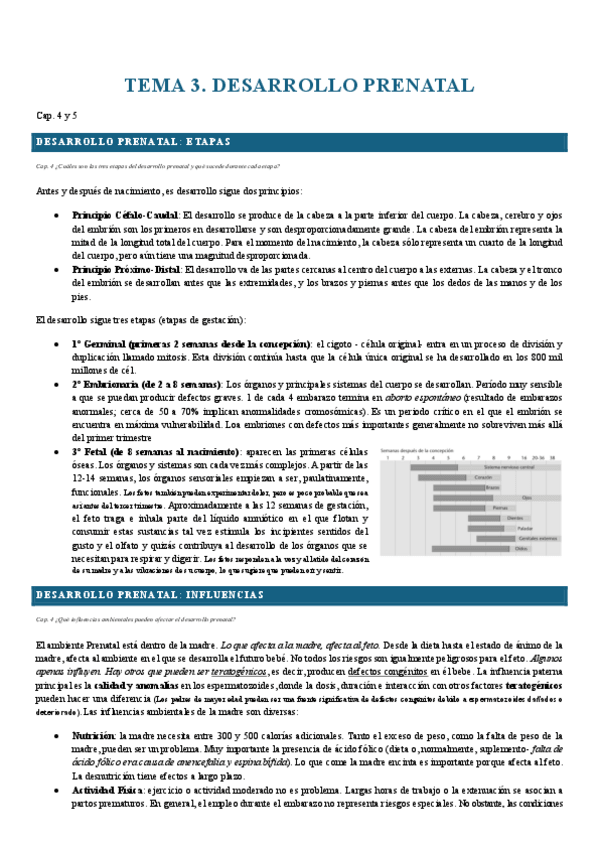 Miniatura del documento T3.-Vital.pdf