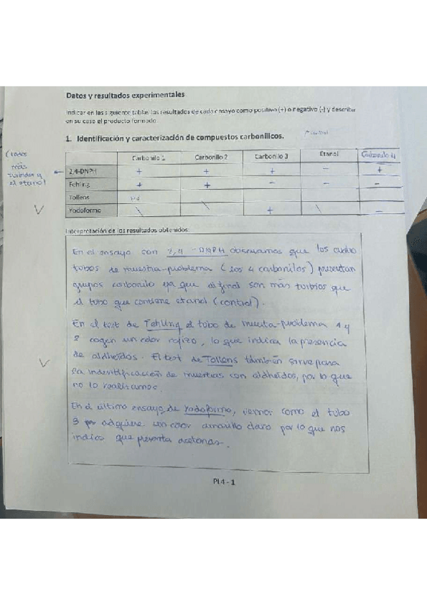 Miniatura del documento lab-practica-3.pdf