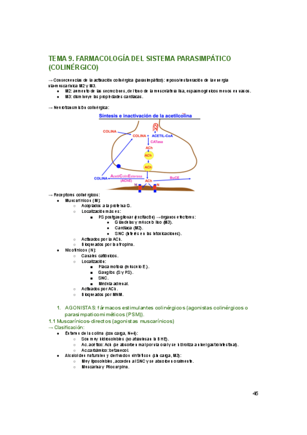 Miniatura del documento tema-9.pdf