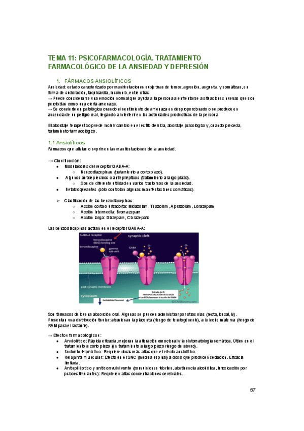 Miniatura del documento tema-11.pdf