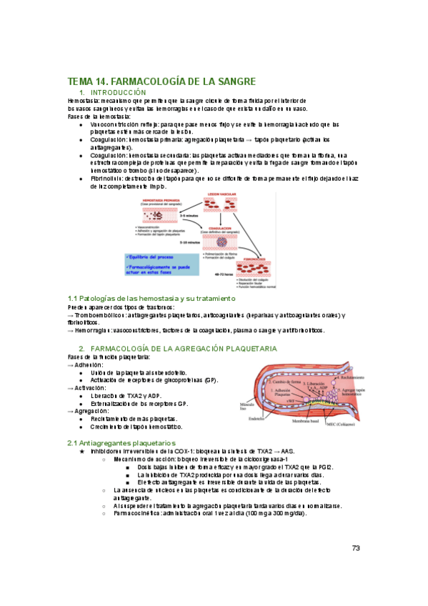 Miniatura del documento tema-14.pdf