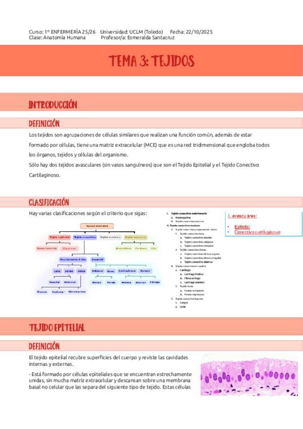 Miniatura del documento TEMA-3-TEJIDOS.pdf