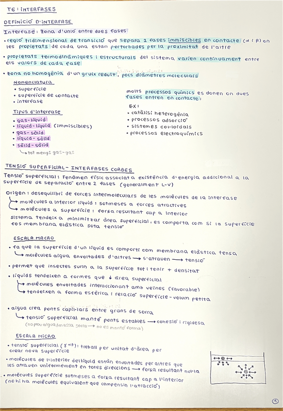 Miniatura del documento FTS-resum-T6.pdf