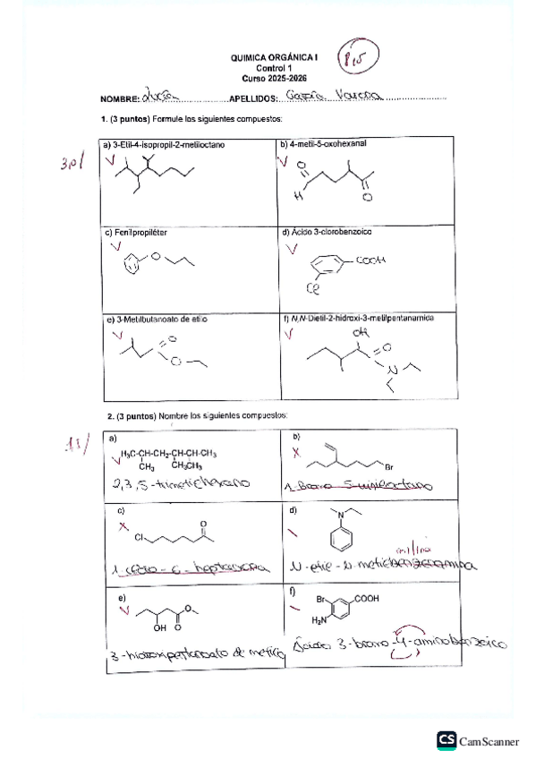Miniatura del documento control-1-organica.pdf