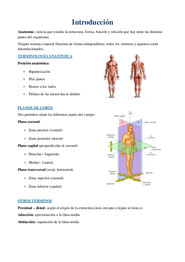 Miniatura del documento Embriologia.pdf