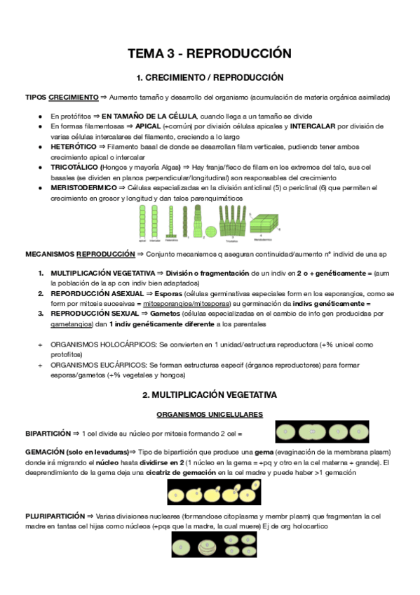 Miniatura del documento Tema-3.pdf