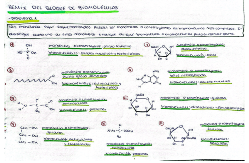 Miniatura del documento Ejercicios-Bloque-Biomoleculas.pdf