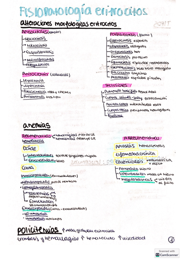 Miniatura del documento RESUMENES-CLASIFICACIONES-1-PARCIAL.pdf