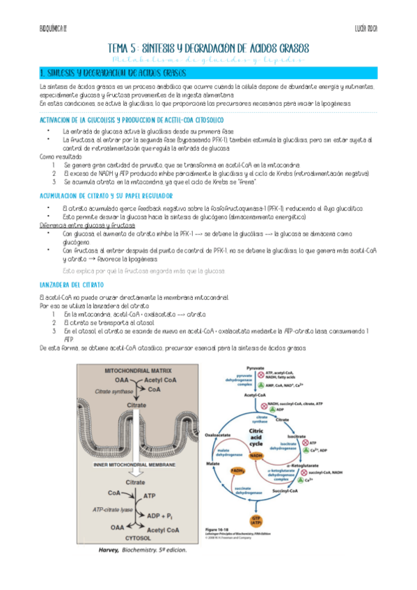Miniatura del documento apunts-bioq-II-tema-5-parcial.pdf
