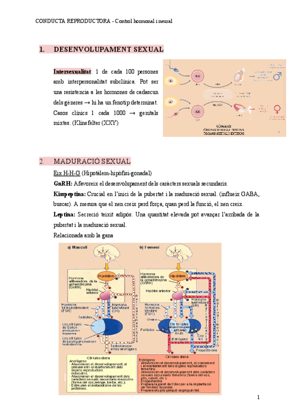 Miniatura del documento TEMA-3.pdf