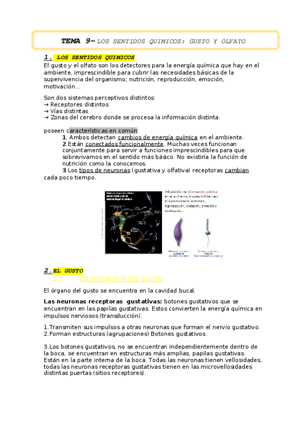 Miniatura del documento TEMA-9.docx
