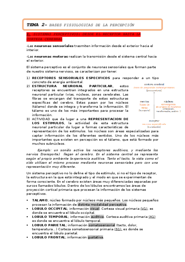 Miniatura del documento TEMA-2.docx