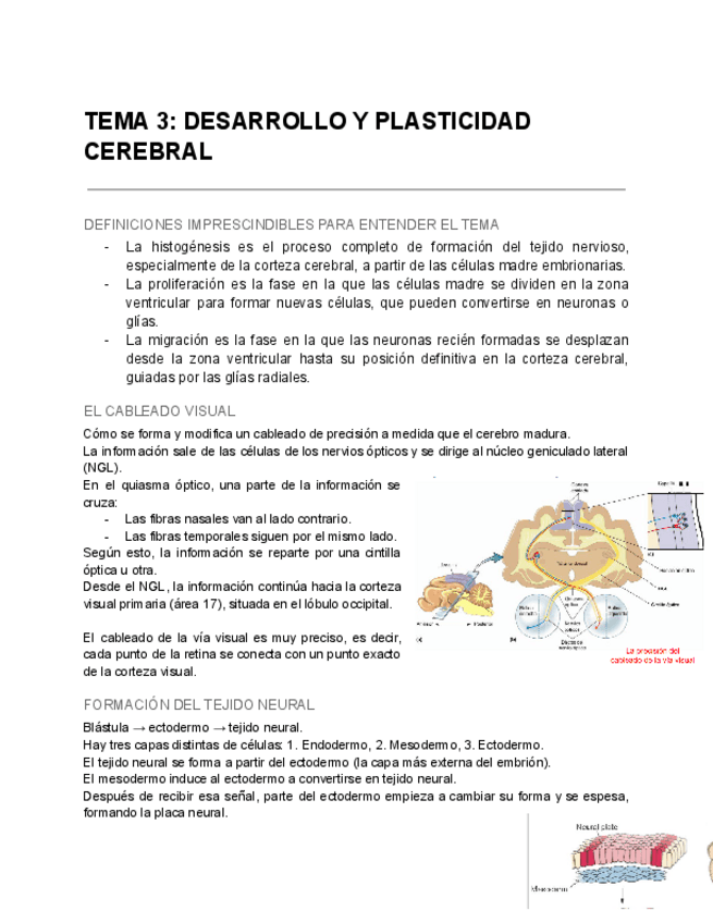 Miniatura del documento PFI-TEMA-3-parte-1.pdf