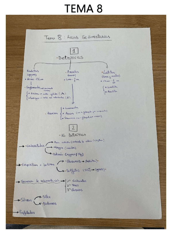 Miniatura del documento TEMA-8.pdf